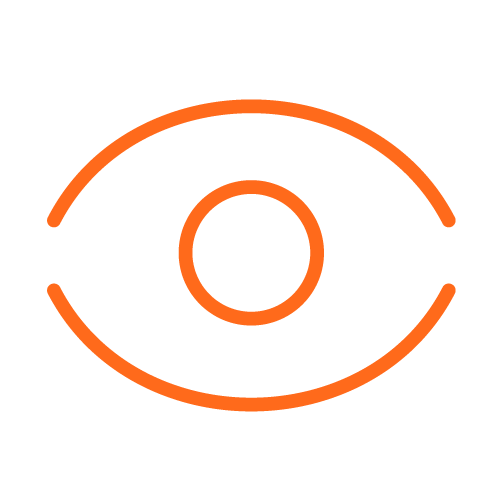 Vision icon